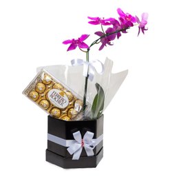 Imagem de Belíssíma Orquídea  Pink e Ferrero Roccher 
