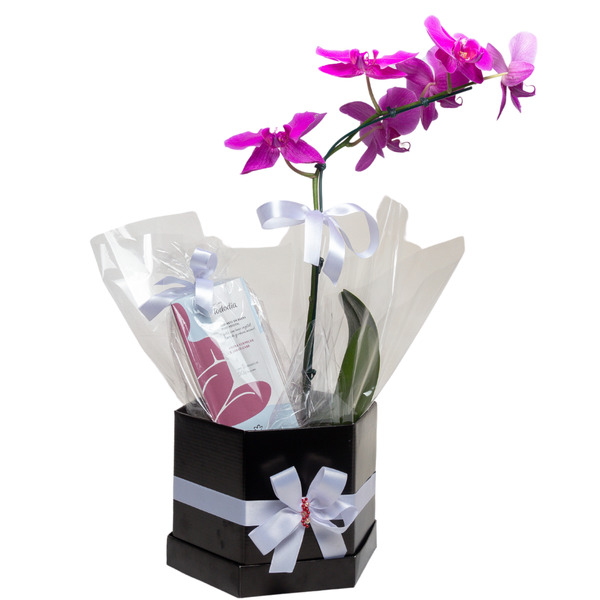 Orquídea Phalaenopsis E Perfumados Sabonetes 
