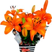 Lirio Laranja