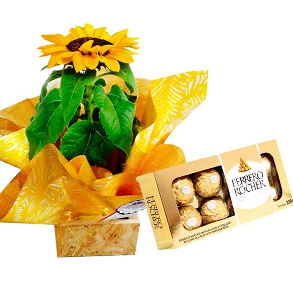 Girassol Ferrero Rocher