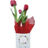Tulipa Vermelha