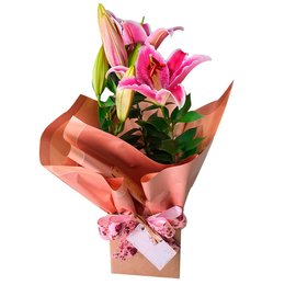 Imagem de Lírio Rosa 