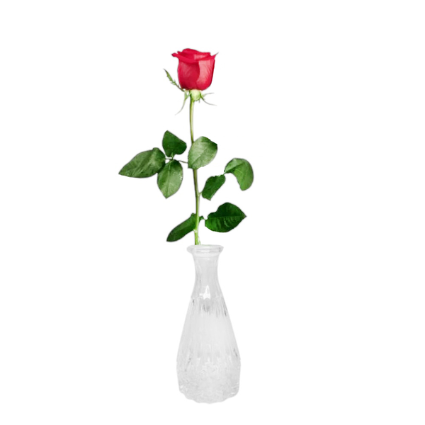 Solitário de Rosa Vermelha Eu Te Amo
