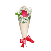 Cone DE Rosas