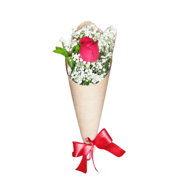 Cone DE Rosas