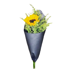 Imagem de Cone com Girassol