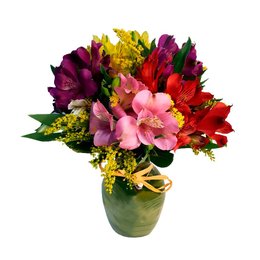 Imagem de Arranjo de Astromélias Colorida