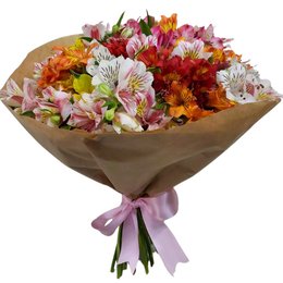 Imagem de Buquê de Astromélias Coloridas