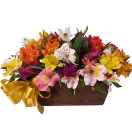 Imagem de Arranjo Felicidade 