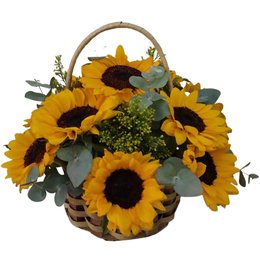 Imagem de Cesta Encanto de Girrasois