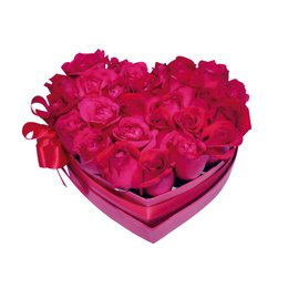 Imagem de Box Rosas Vermelhas 
