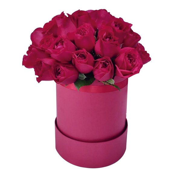 Box Rosas Vermelhas