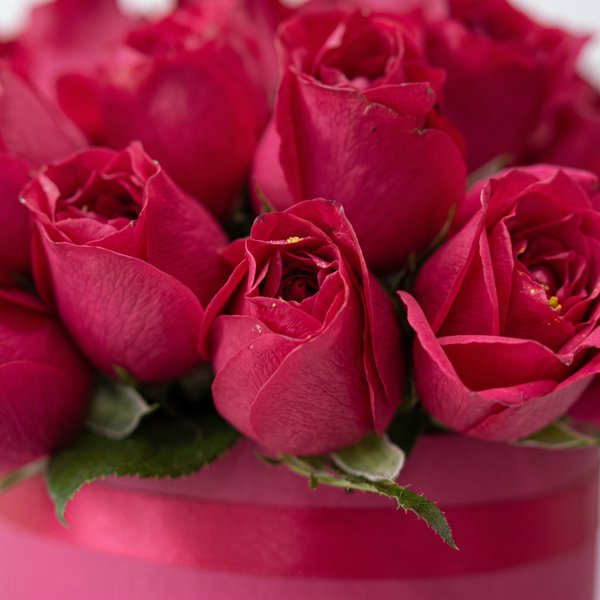 Box Rosas Vermelhas