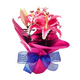 Imagem de Lírio Rosa 