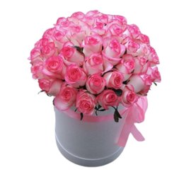 Imagem de Box Rosa Paixão