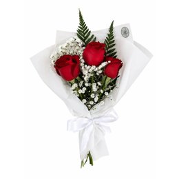 Imagem de Mimo 3 Rosas Vermelhas