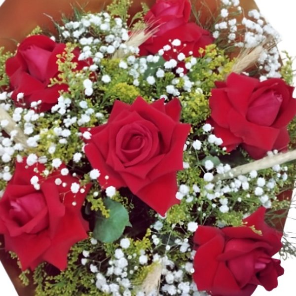 Buque Rosa Vermelha 