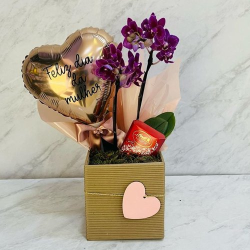 Box Orquídea Especial Dia das Mulheres