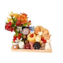 Imagem de Box Média Primaveita 