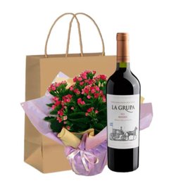 Imagem de Presente Kalanchoe e Vinho