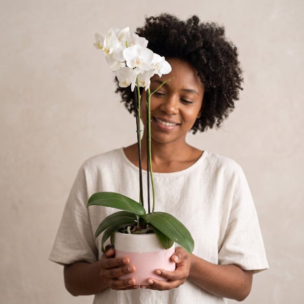 Orquídea Branca em Vaso Artesanal 
