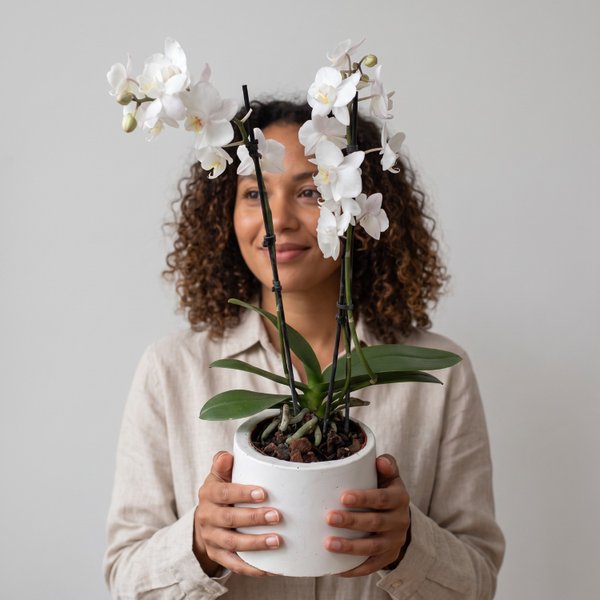 Orquidea em Vaso Artesanal Branco