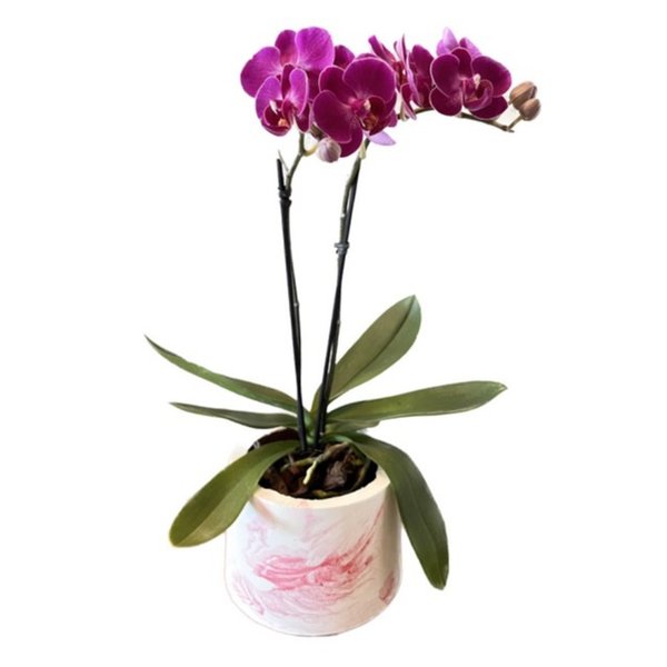 Orquidea em Vaso Artesanal marmorizado 