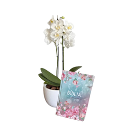 Imagem de Orquídea Branca com Biblia em Vaso de Cerâmica Branco