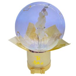 Imagem de Orquídea Dentro do Balão no Box Glitter Dourado