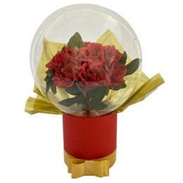 Imagem de Rosas Vermelhas no Balão