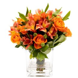 Imagem de Arranjo Laranja Em Vaso Quadrado