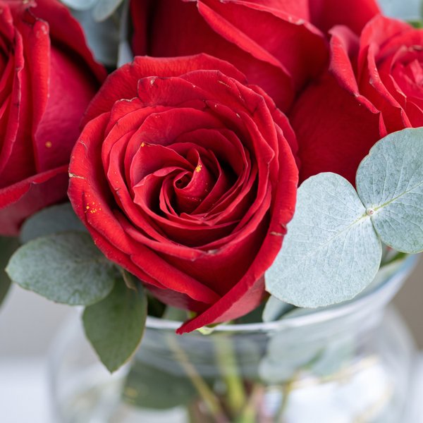 Rosas Vermelhas em Vaso de Vidro - Victoire
