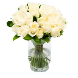 Imagem de Arranjo em Vaso de Rosa Branca - Alina