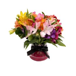 Imagem de Arranjo Mix de Astromélias em Vaso - Ardeche