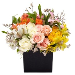 Imagem de Caixa de Flores - Ambre