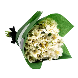 Imagem de Bouquet de Alstromeria Branca - Miley
