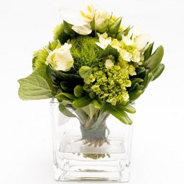 Imagem de Arranjo Verde Em Vaso Quadrado - Wendy