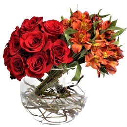 Imagem de Arranjo Rosa Vermelha e Astro Laranja