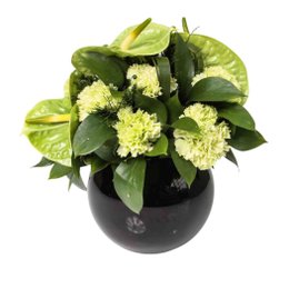 Imagem de Arranjo Verde em Vaso Redondo