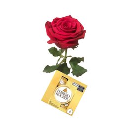 Imagem de Rosa Importada Bella