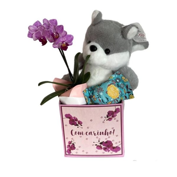 Cesta Orquídea Mamãe
