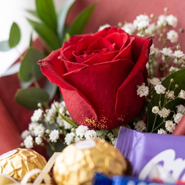 Cesta Especial Chocolate Seleção 