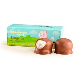 Imagem de Mini Nhá Benta Lingato 60G