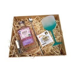 Imagem de Kit Gin Especial 