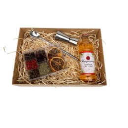 Imagem de Kit Gin Presente Tanqueray