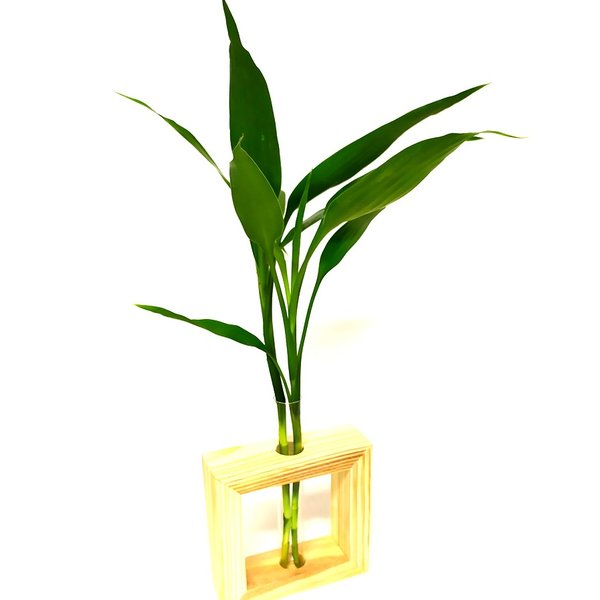 Vaso com Suporte de Madeira Pinus com Bambu da Sorte