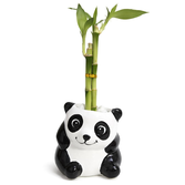Panda Sentado com Bambu da Sorte