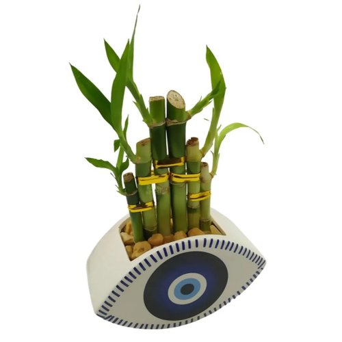 Cachepot Olho Grego com Bambu da Sorte