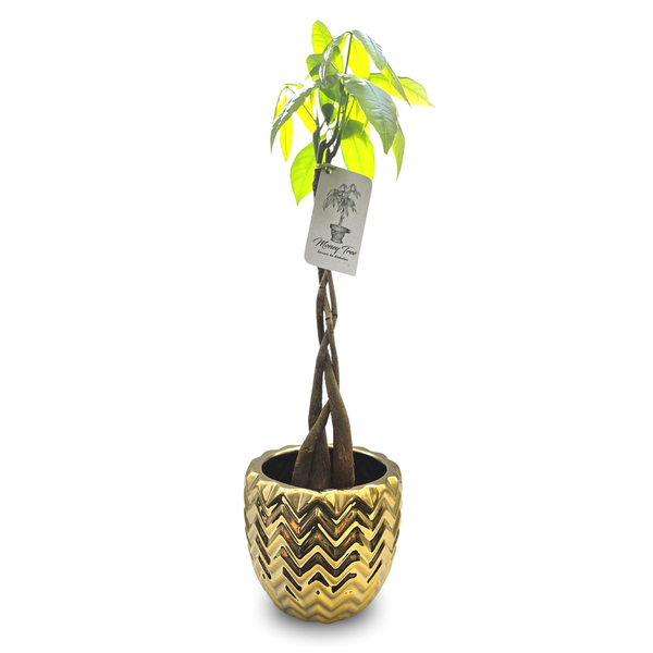 Vaso Indiano em Metal com Árvore do Dinheiro