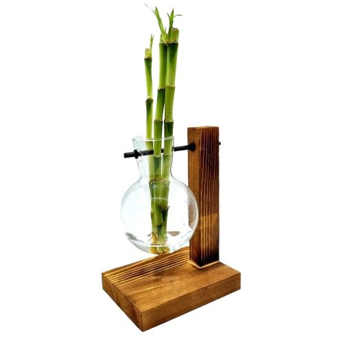 Vaso Pendente com Bambu da Sorte e Suporte